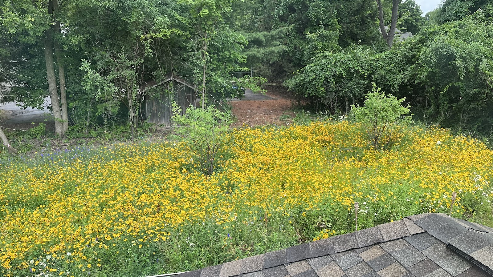 Chura & Sons Nursery-Landscaping — photo