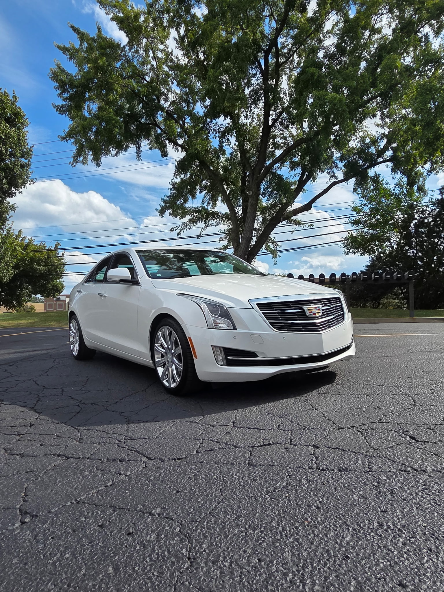 Exquisite Car Care LLC in Wixom