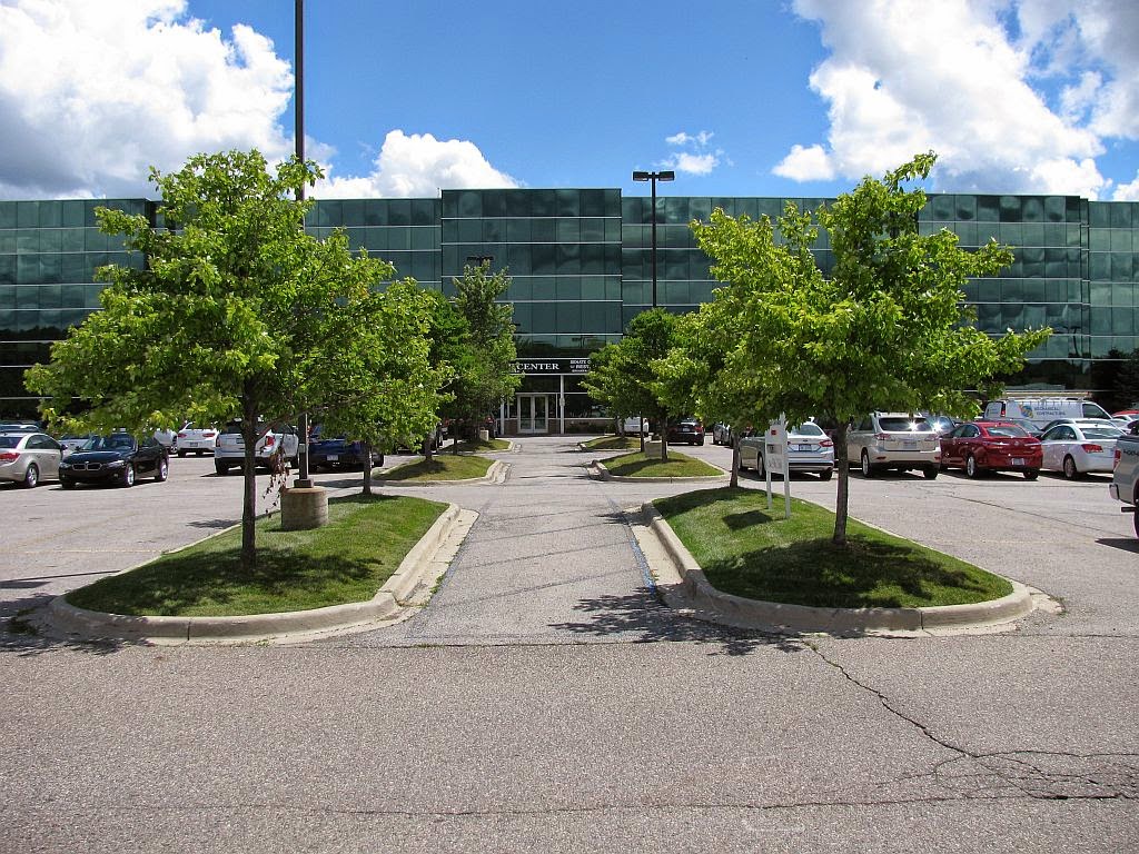 Michigan Legal Solutions — photo