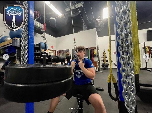 Root Performance Systems in Wixom